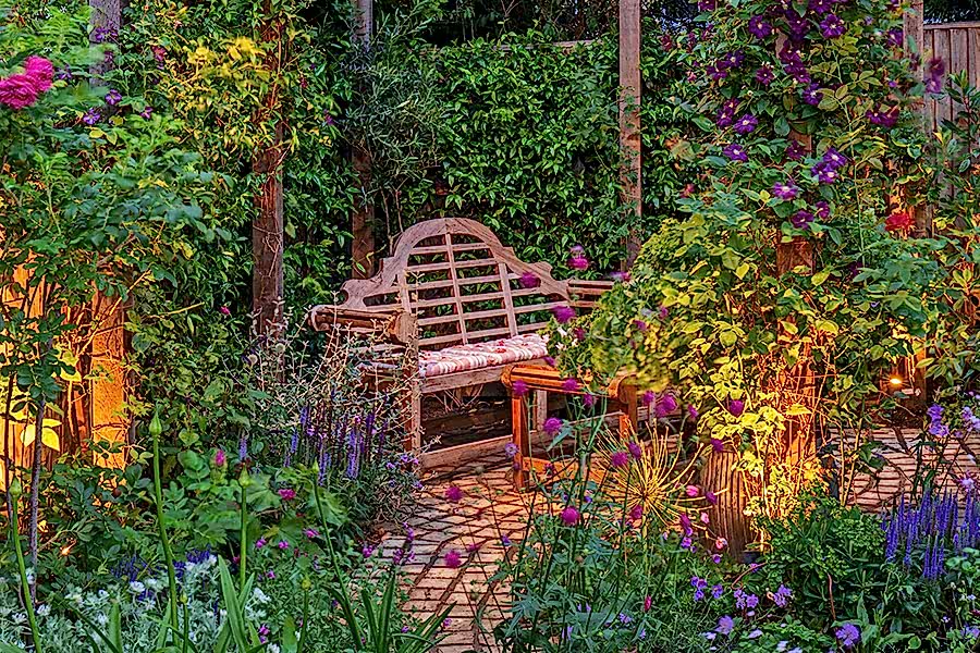 Plantswoman's Garden Putney Hill