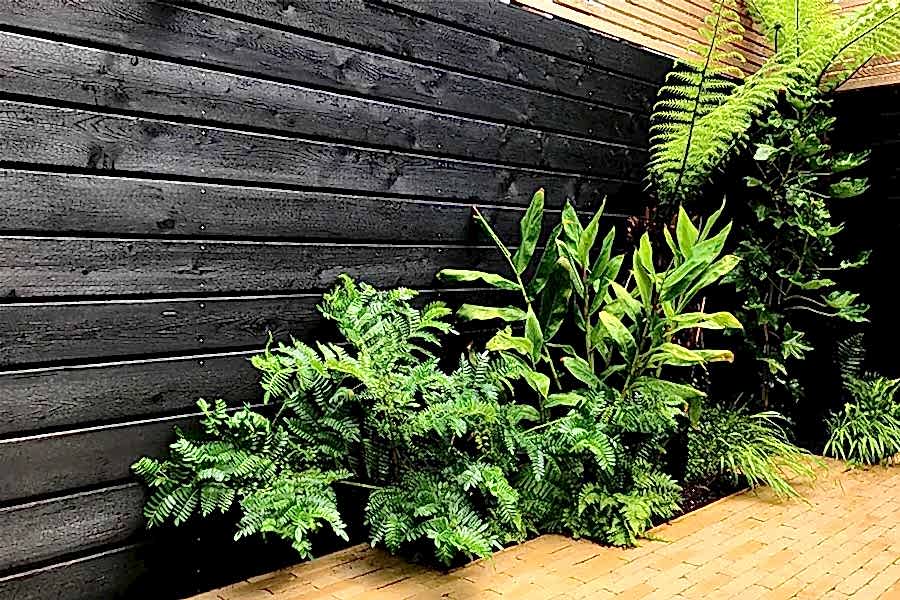 Small Courtyard Garden, Chiswick